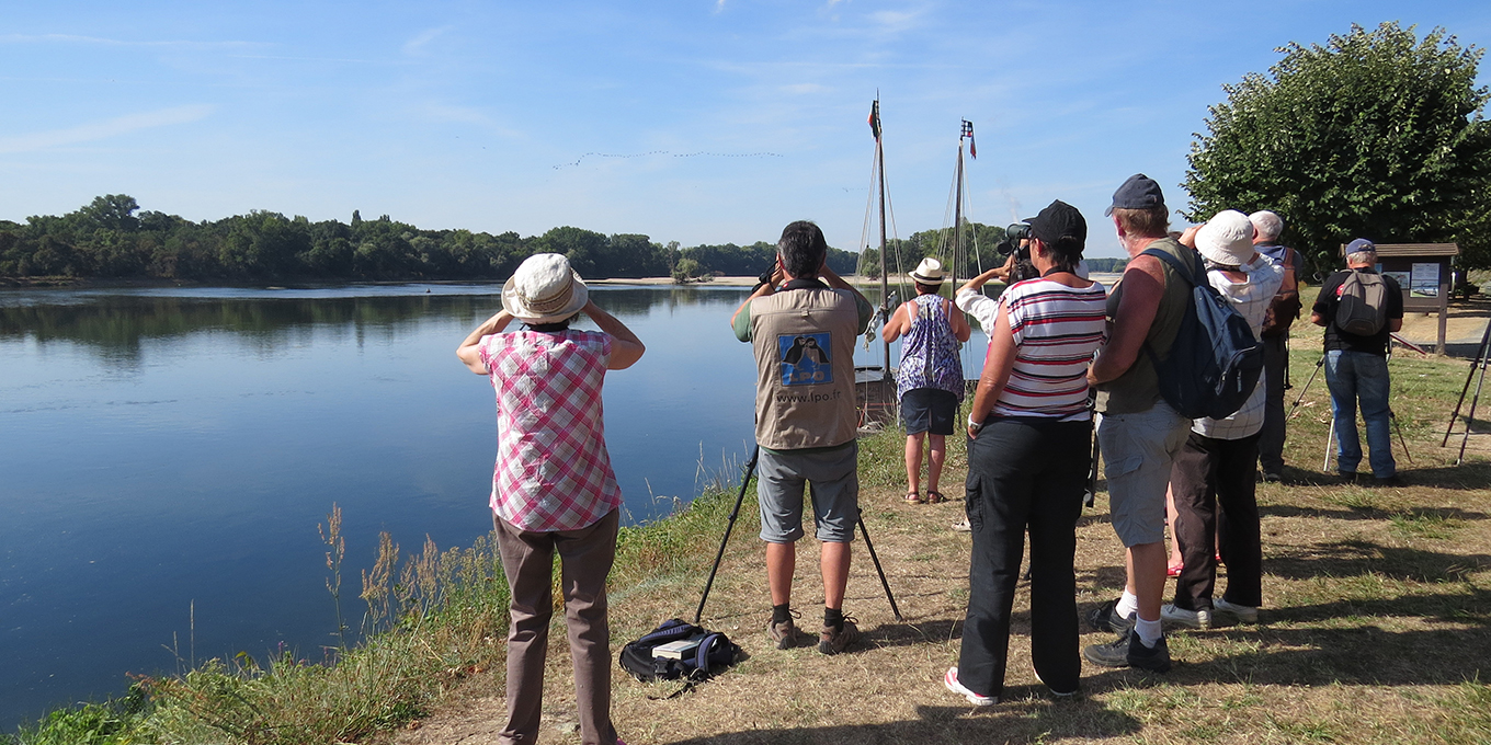 Ecole d'ornithologie (niveau 2) 2ème semaine